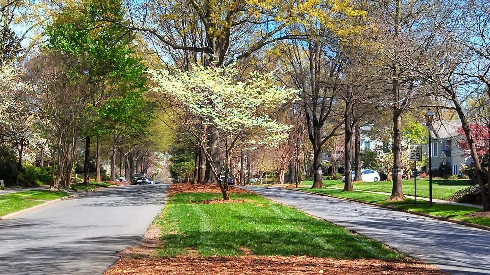 Chic And Relaxing 1Br In The Heart Of Myers Park Villa Charlotte 0*,  USA