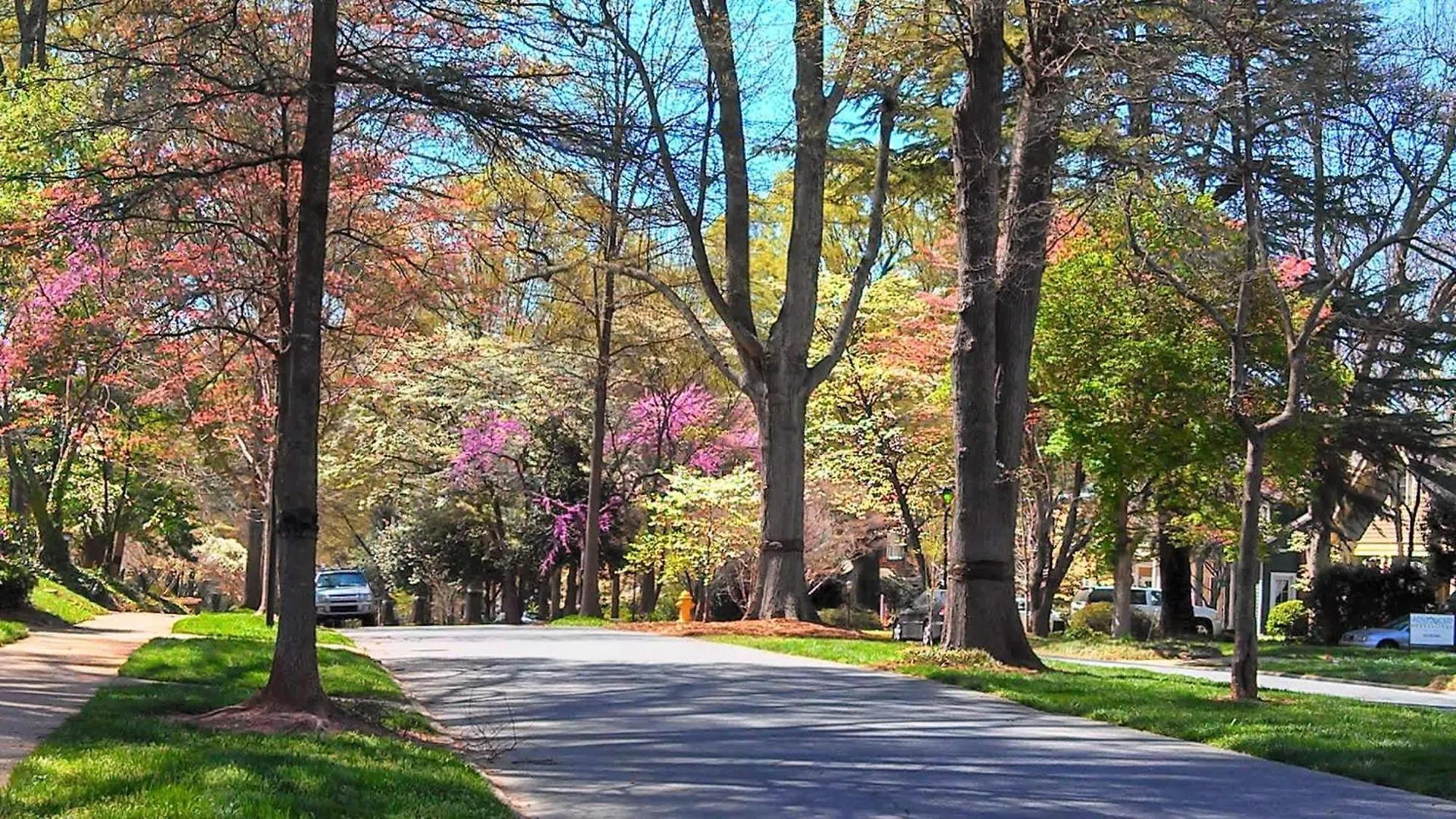 Chic And Relaxing 1Br In The Heart Of Myers Park Villa Charlotte Feriehus